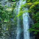 坂下 光輝のプロフィール画像
