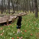 三宮 瑠音のプロフィール画像