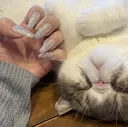 Nail salon Syukuのプロフィール画像