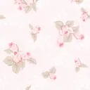 Chaton ♡ﾞSAKAIのプロフィール画像