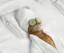 ぽーらこらいゆ 名西店　かとうのプロフィール画像