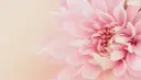 ＲＩＯＮ 〜リオン〜 ／    肌育サロンのプロフィール画像