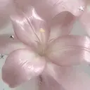 井上 結月のプロフィール画像