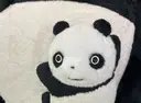 野村 心愛のプロフィール画像