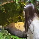 メンズカット✂︎ 顔そり💈ニシモトのプロフィール画像