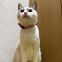 野村 紗希のプロフィール画像