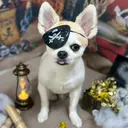 ✧N. BLANC✧ 御成門のプロフィール画像