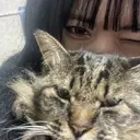 🦕 kiito Runa 🦖のプロフィール画像
