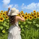 梅田🌺 Hibiscusのプロフィール画像