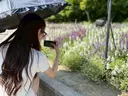 SEKINE KANAのプロフィール画像