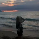 上原 桃花のプロフィール画像