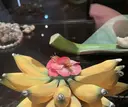Plumeria 永井のプロフィール画像