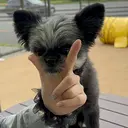 nishidate namikaのプロフィール画像