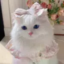 齋藤 佑月のプロフィール画像