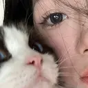 ひよ 🩵のプロフィール画像