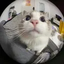 橋本 夢叶のプロフィール画像