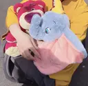 SOLelbio yukaのプロフィール画像