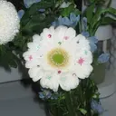 🌷memelu 近鉄奈良店🌷のプロフィール画像