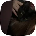 稲田 愛梨のプロフィール画像