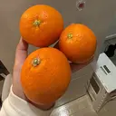 門屋 茜のプロフィール画像