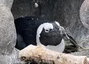 吉野 杏香のプロフィール画像