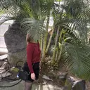 浅野 七海のプロフィール画像