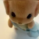 EYELA fukushimaのプロフィール画像