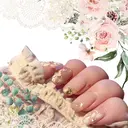 💅 MOMOのプロフィール画像