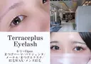 Terrace +のプロフィール画像