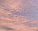 南 奏実のプロフィール画像