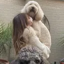 海 音のプロフィール画像