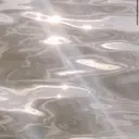 宮脇 蒔音のプロフィール画像