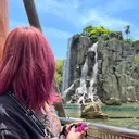 S. Rionのプロフィール画像