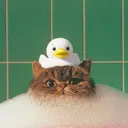 林 ゆかのプロフィール画像