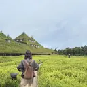 西田 萌菜花のプロフィール画像