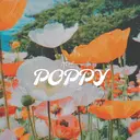 POPPY nail Yumiのプロフィール画像