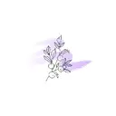 プライベートサロン alphaのプロフィール画像