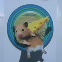 ojo 🐌つむり🐌のプロフィール画像
