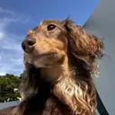 山本 あやのプロフィール画像
