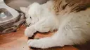 木本 貴也のプロフィール画像