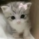 Bianca錦糸町 胡桃のプロフィール画像