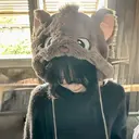 M3 nail wakanaのプロフィール画像