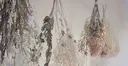 清水 麻帆のプロフィール画像