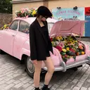 🦋ワンカラー‪ /Nanaha🦋のプロフィール画像