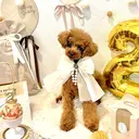 PetitBlanc Rinaのプロフィール画像