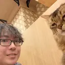 石沢 知康のプロフィール画像