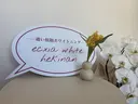 エクシアホワイト 碧南店のプロフィール画像