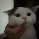 セ ナのプロフィール画像