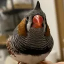 T. Kurumiのプロフィール画像