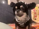 LULU ☆KAORI☆のプロフィール画像